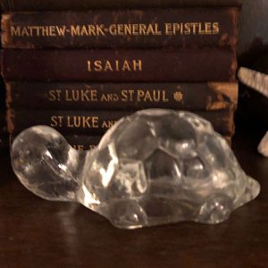 Glass_Turtle